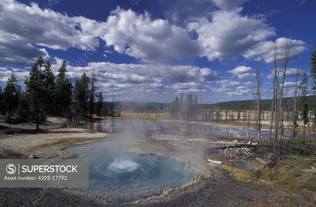 USA, Wyoming, Yellowstone N.P.. Firemole Spring
