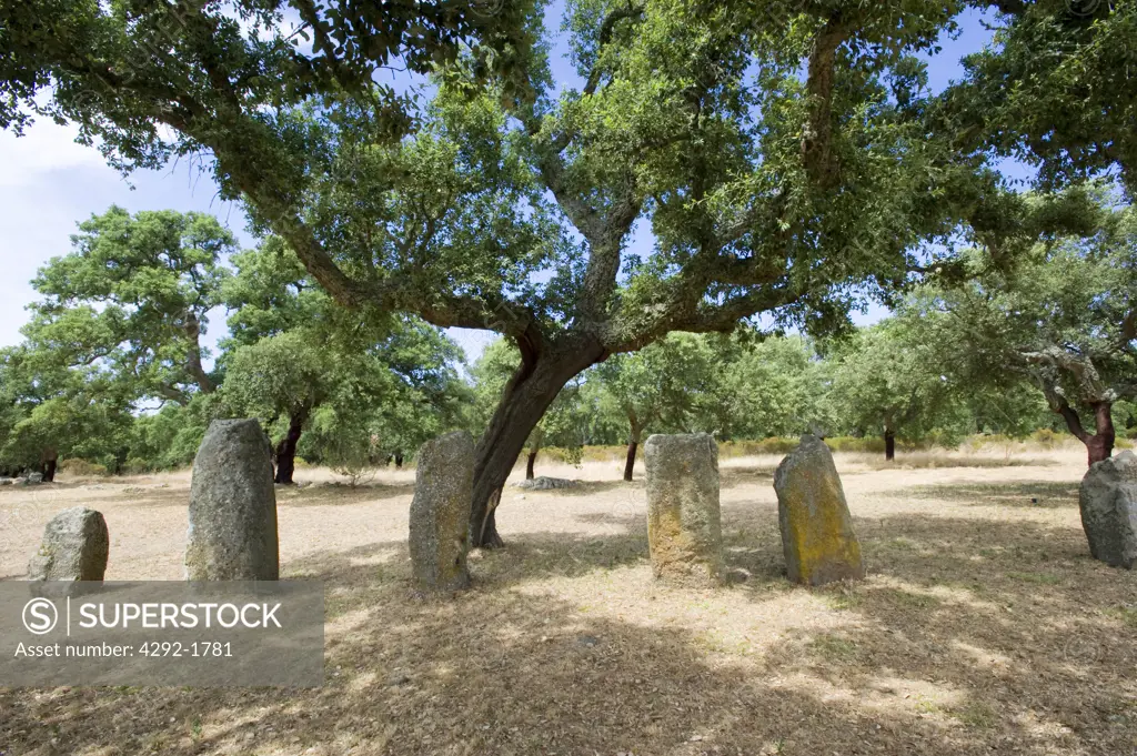 Italy, Sardinia, Goni, Pranu Mutteddu. menhir and megalith ruins