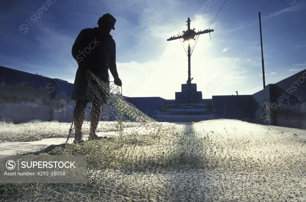 Peru, Paracas: fisherman with net