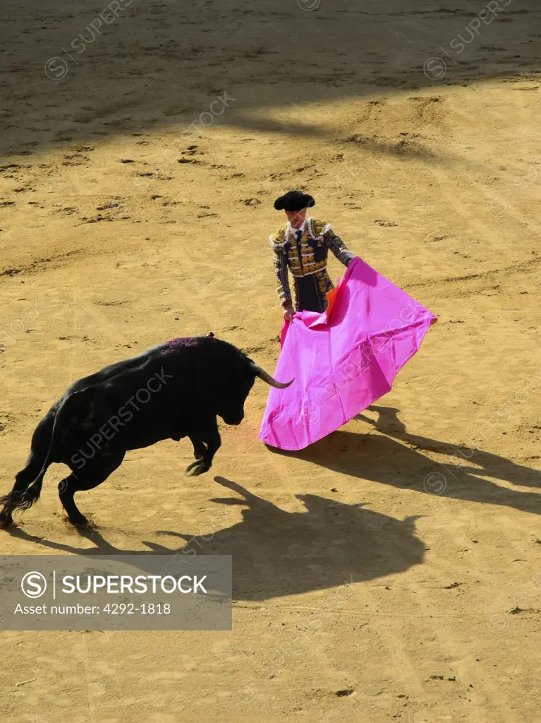 Spain, Madrid, Bullfight in Plaza de Toros