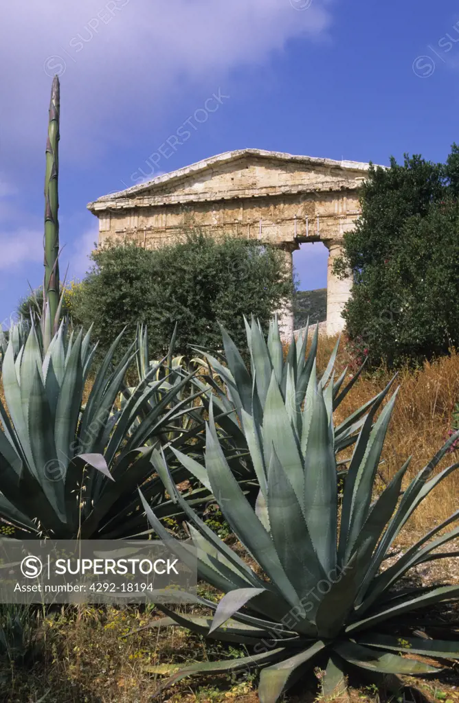 Italy, Sicily, Segesta: Greek Temple ruins