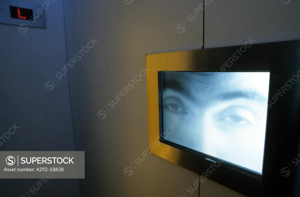 Plasma television screen