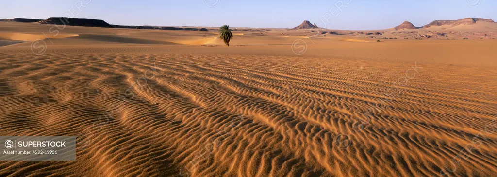 Africa, Chad, Ounianga Serir, Teguedei lake, the desert