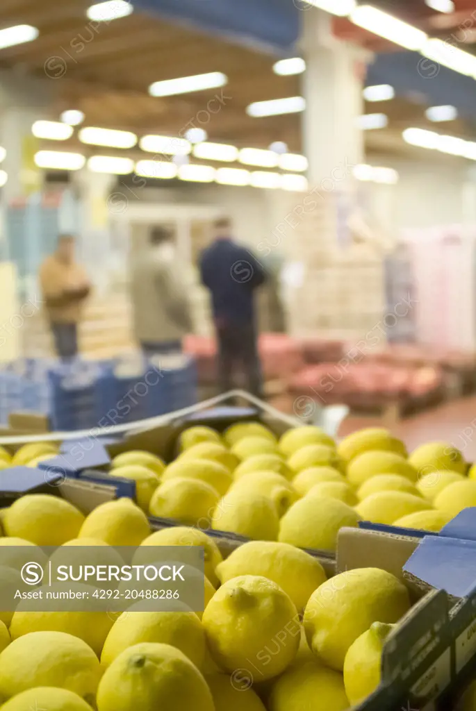 fruits and vegetables wholesale market