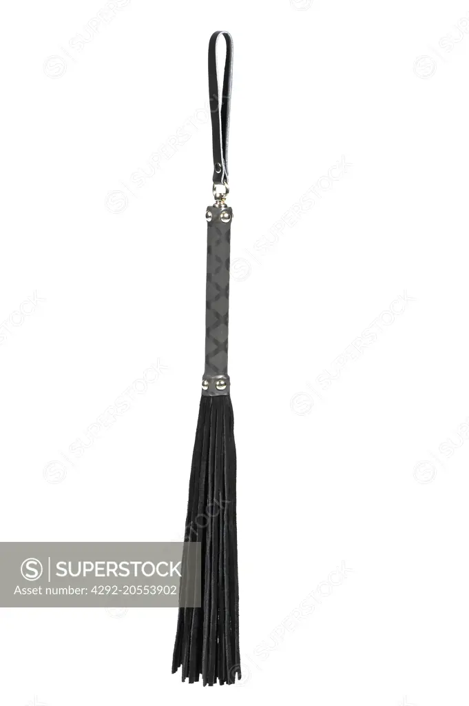 A black whip on a white background