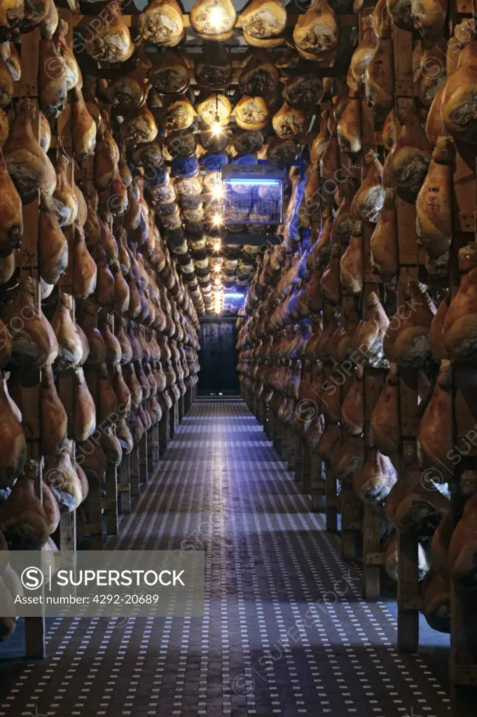 Italy, Emilia Romagna, Langhirano. Parma Ham Ageing.