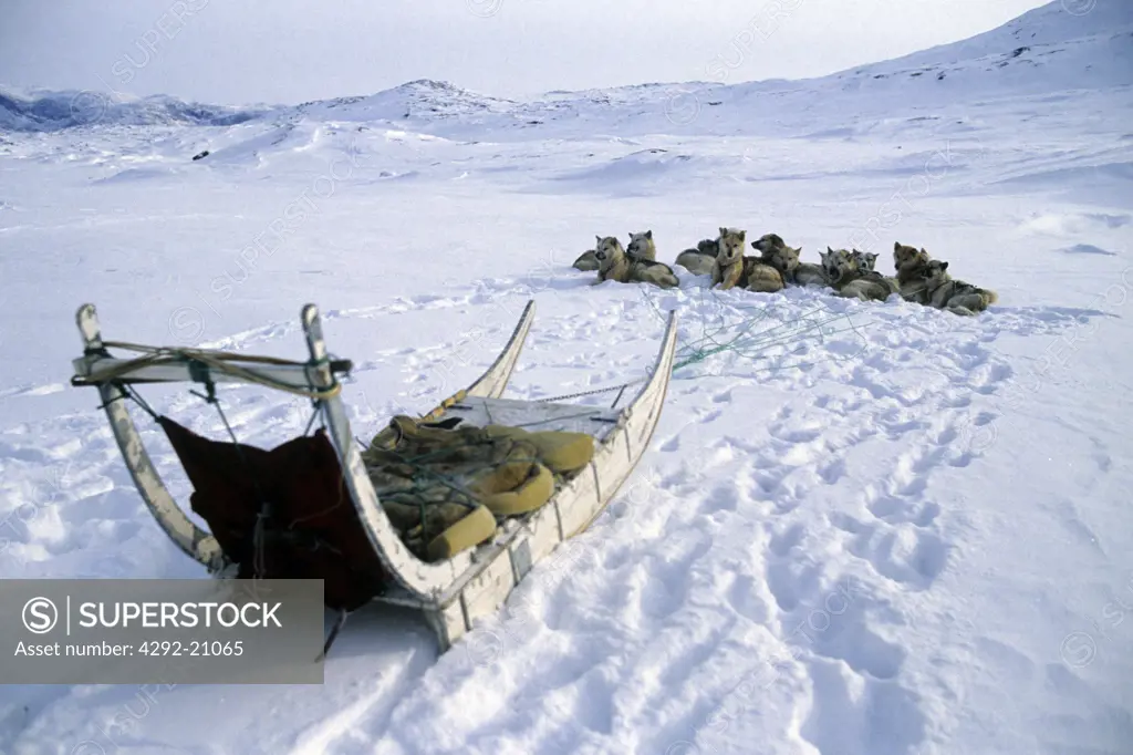 Denmark, Greenland in Winter, Jakobshavn Glacier, Dogslege