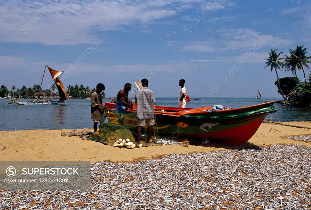 Sri Lanka, Negombo fishermen