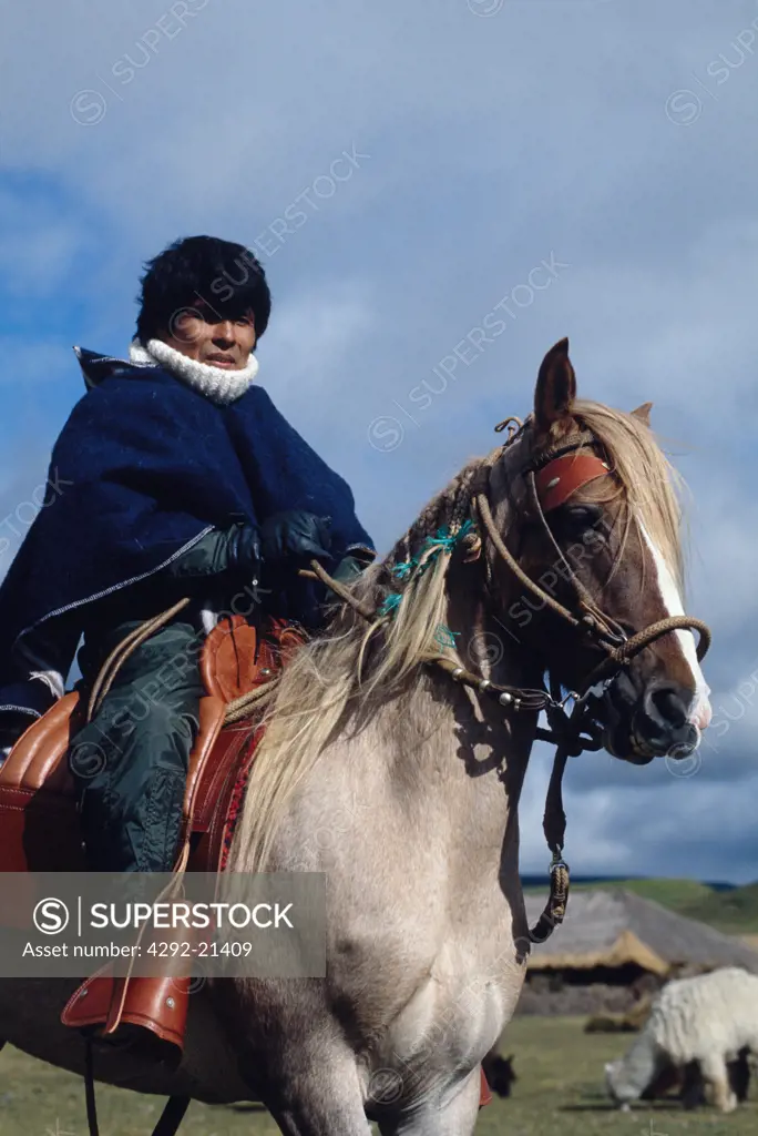 Ecuador. Typical horseman