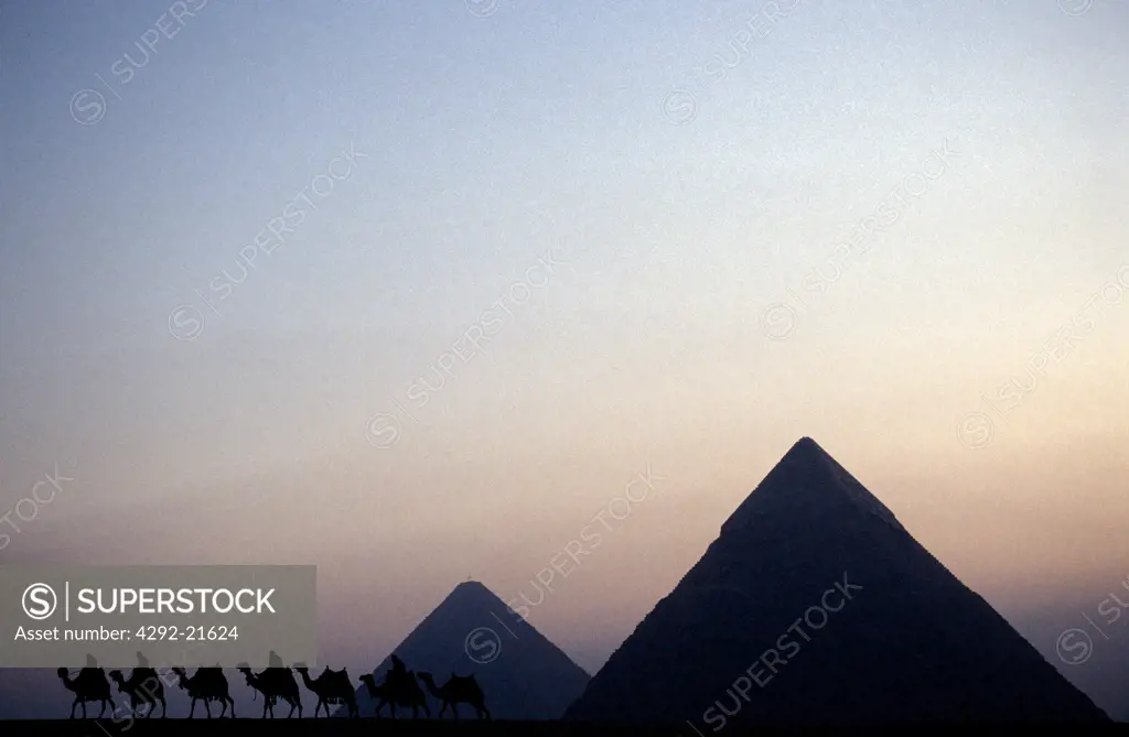 Egypt, Cairo. Giza Pyramids, Chepren and Mycerinus and camels sunset