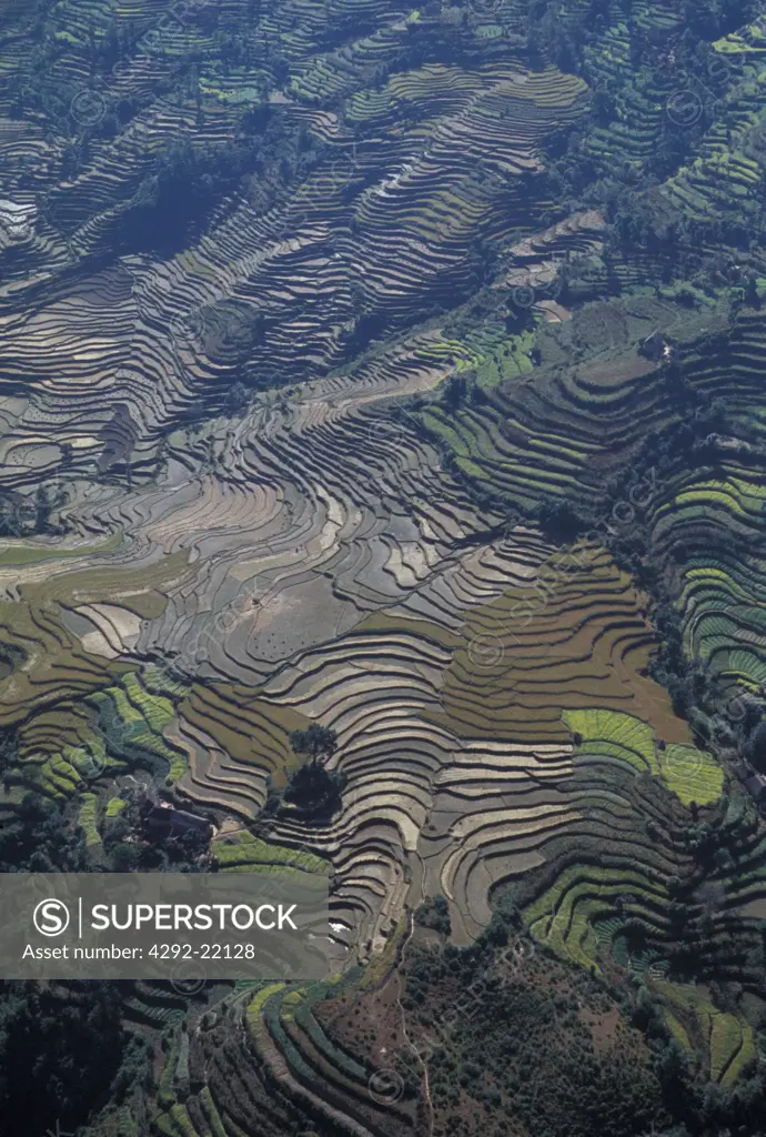 Nepal. cultivated ricefields, view from the air