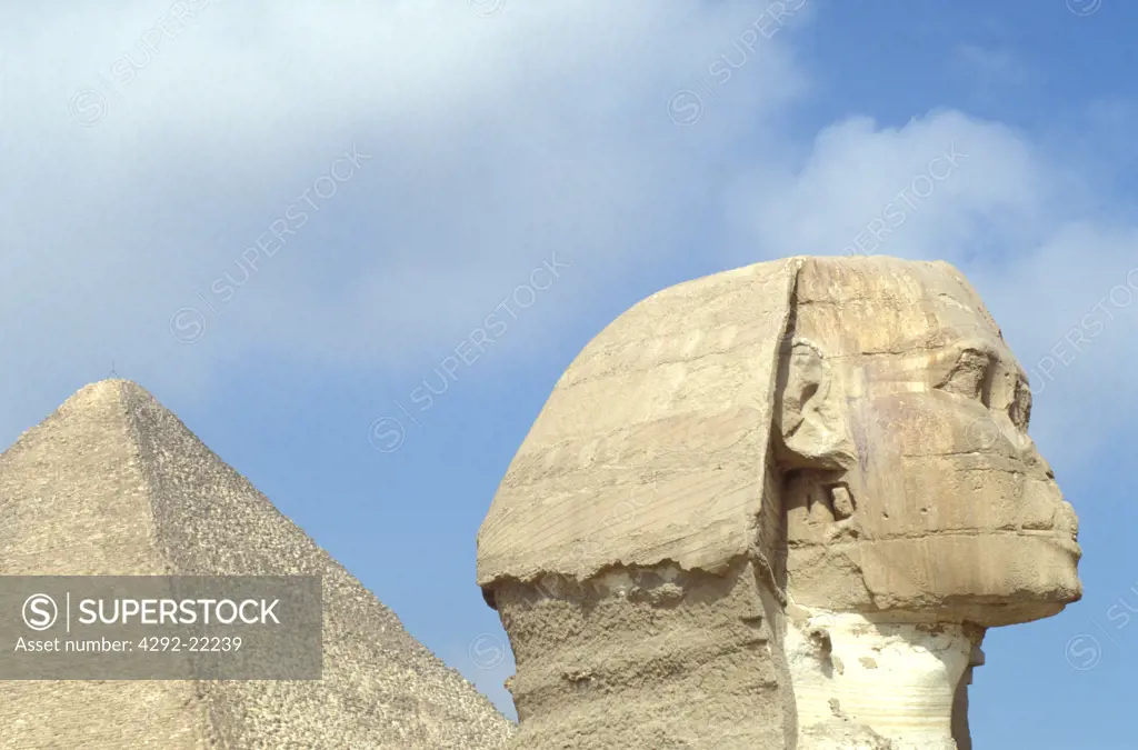 Egypt, Cairo, Giza.The Sphinx