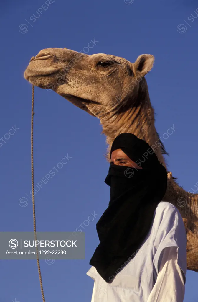 Morocco. Sahara desert, camel riders