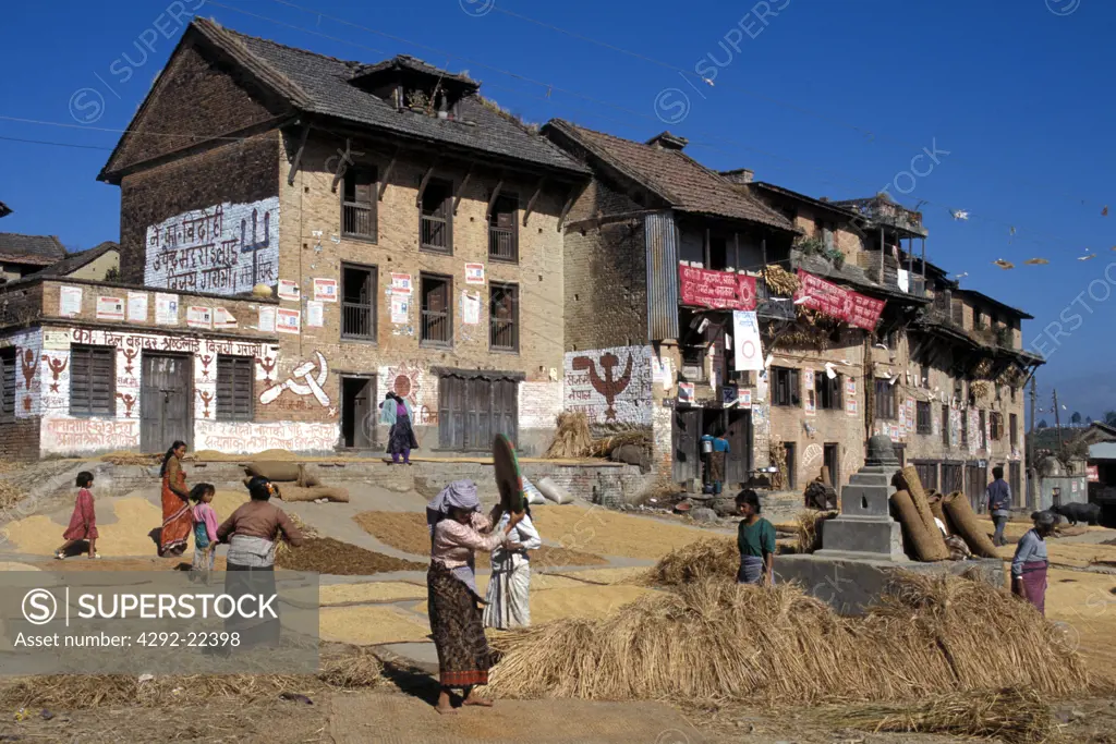 Nepal,rice drying in Bungamati village square
