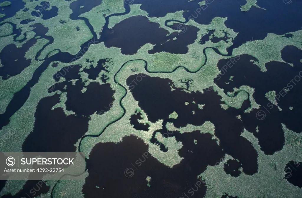 Usa, Florida, aerial view of Everglades swamps