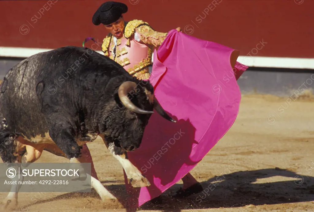 Spain Madrid, bullfighting