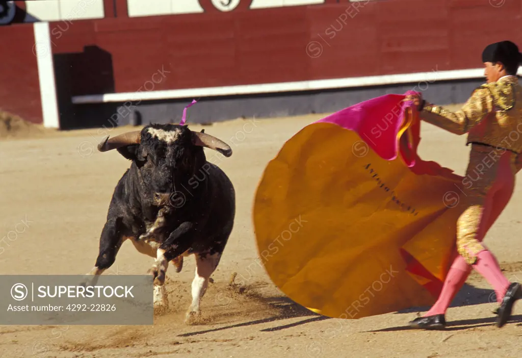 Spain Madrid bullfighting