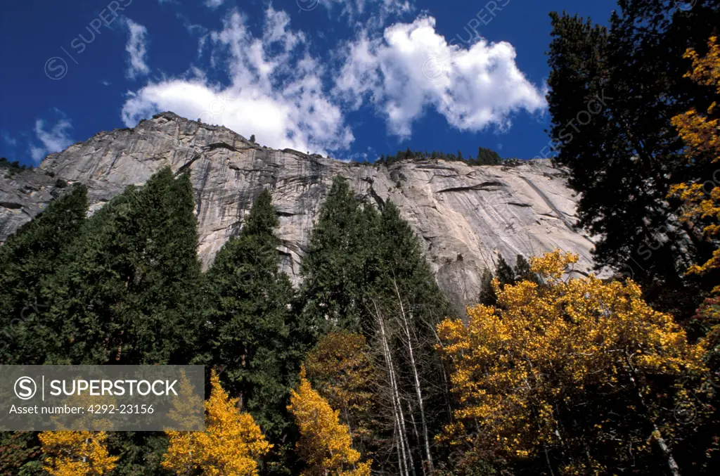 USA, California: Yosemite National Park