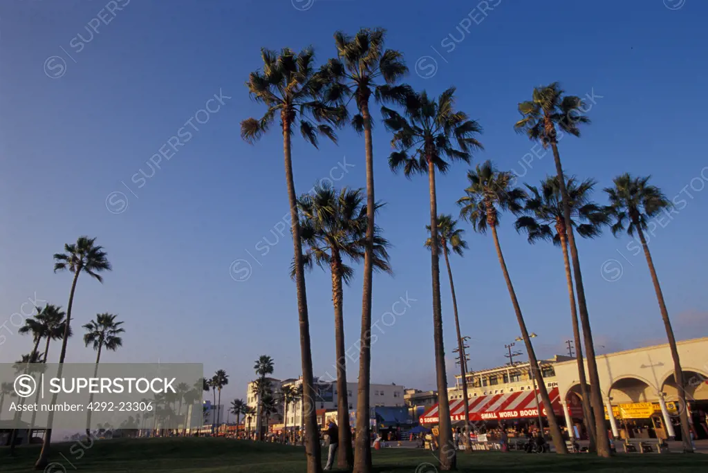 Usa, California, Los Angeles Venice beach