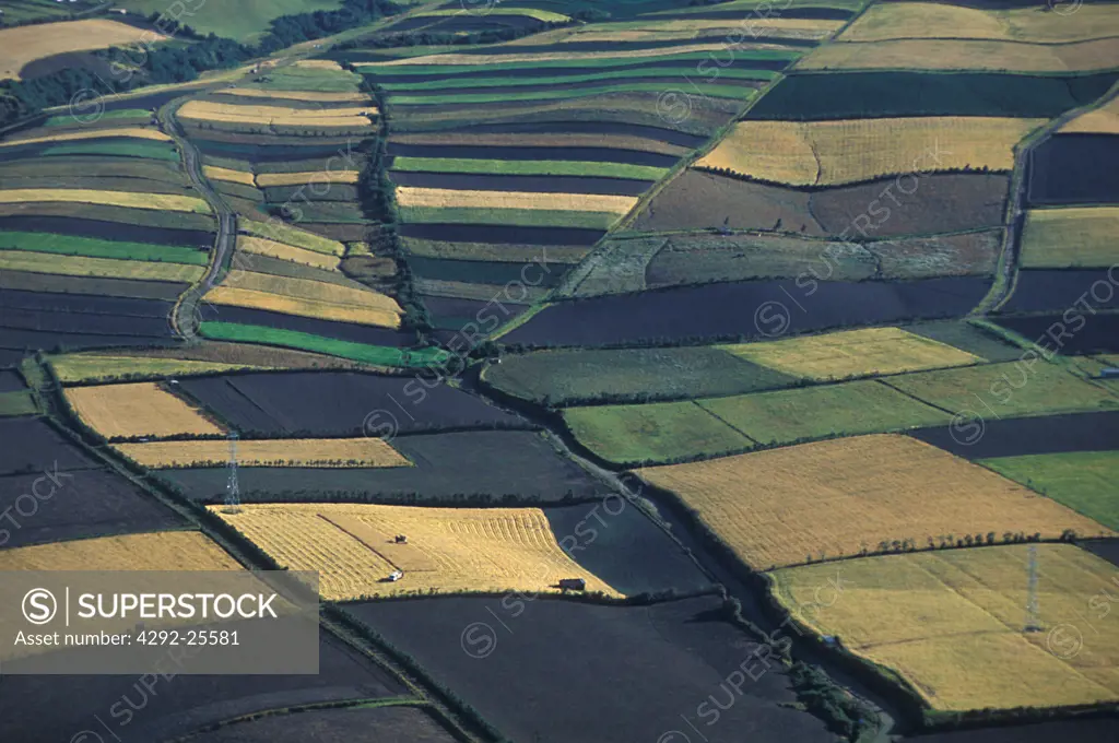 Ecuador, cultivated fields, aerial view
