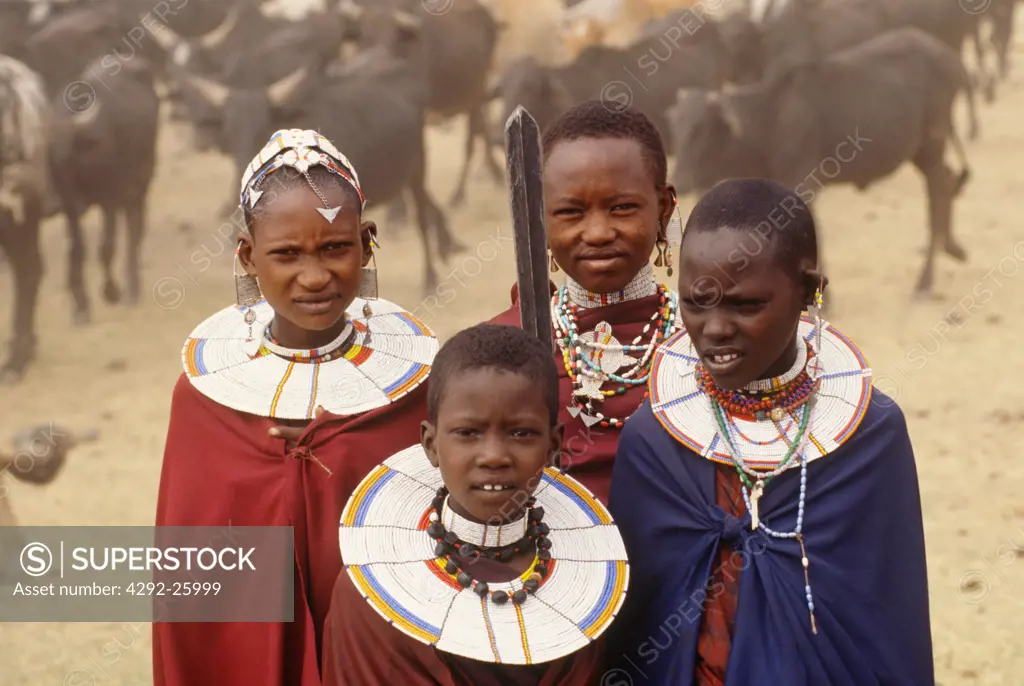 Africa, Tanzania, Masai with cattle