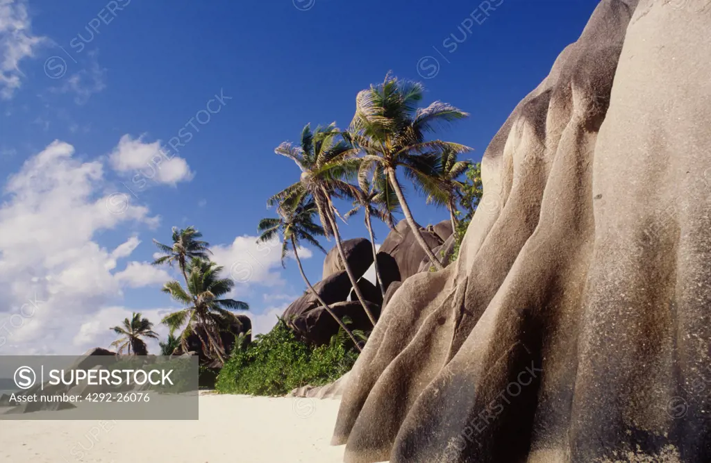Africa, Indian Ocean, Rocks and foilage at waters edge on La Digue Island in Seychelles