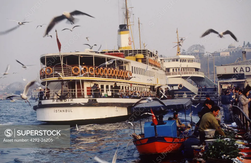 Turkey, Istanbul, Bosphorus River, ferry boat
