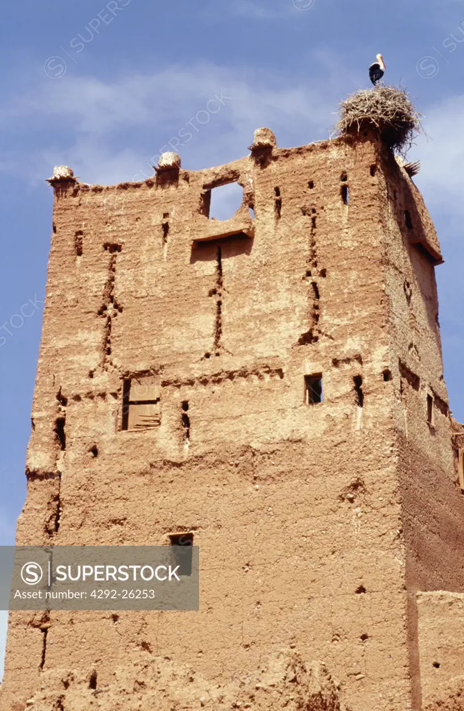 Morocco,Ait Ben Haddou Kasbah, stork nest on tower