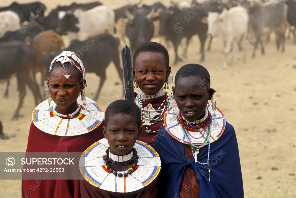Africa, Tanzania, Masai with cattle