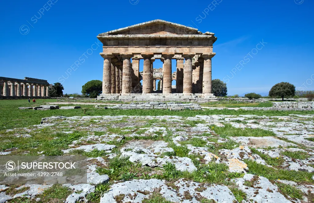 Italy, Campania, Cilento, Archaeological Site of Paestum, the Temple of Neptune