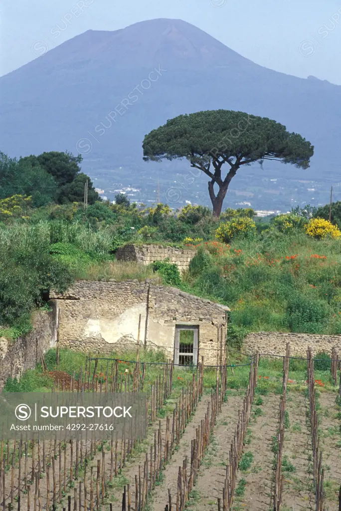 Campania, Pompei