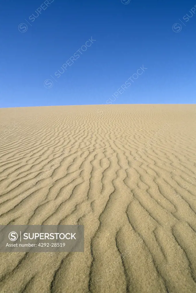 China. Gobi desert