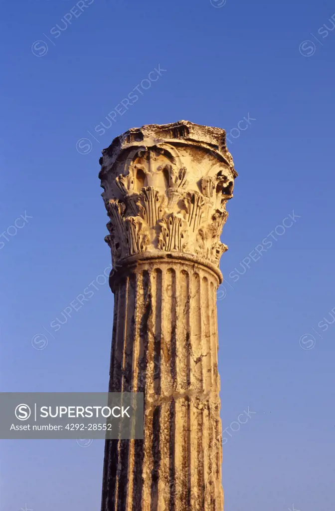 Tunisia, Cartago ruins, column detail