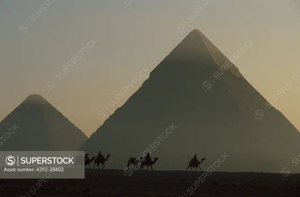 Egypt, Cairo. Giza Pyramids, Chepren and Mycerinus and camels sunset
