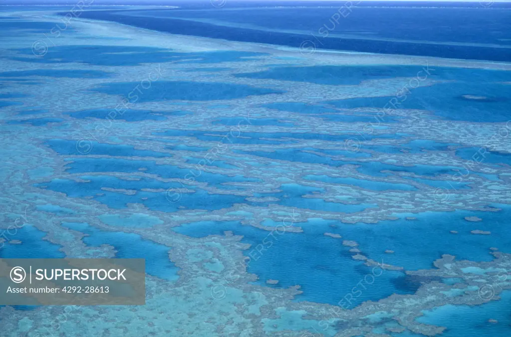 Australia, Great Hardy reef
