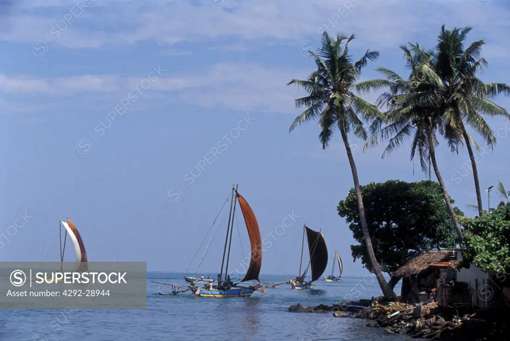 Sri Lanka, Negombo, fishing boats