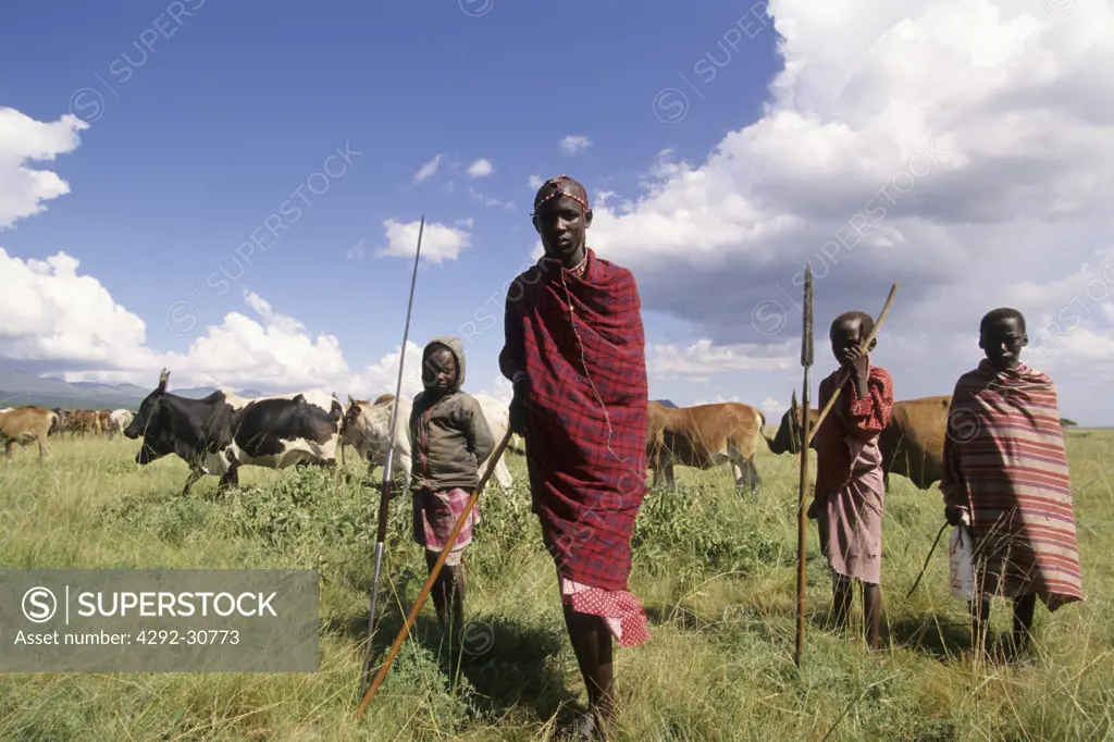 Africa, Kenya, Masai with cattle