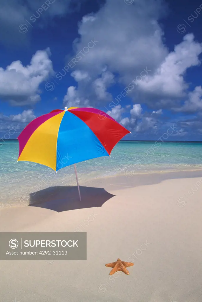Umbrella and starfish on beach