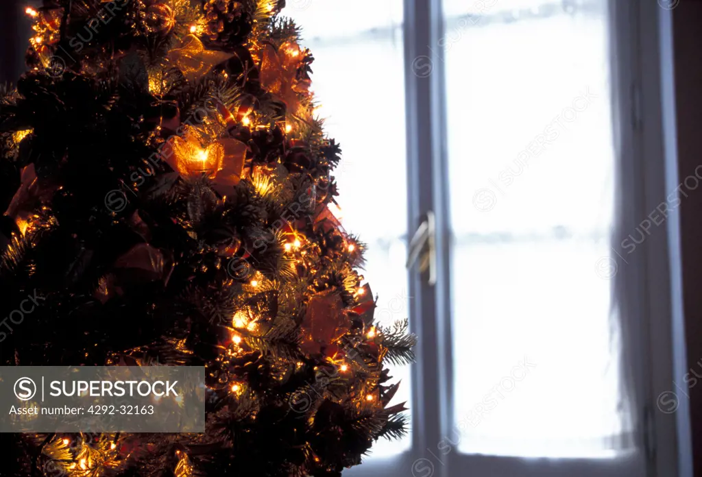 Christmas tree near a window
