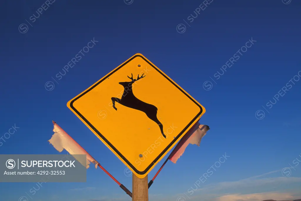 Animal crossing road sign