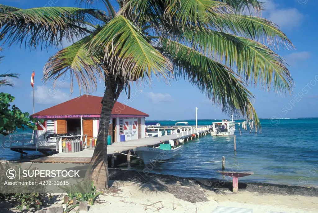 Belize, Ambergris Caye, Belize's coral reef