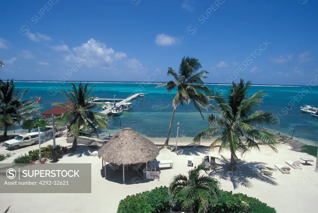 Belize, Ambergris Caye, Belize's coral reef