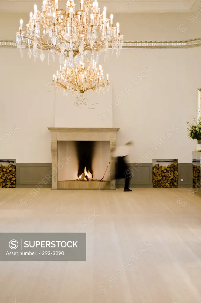 Denmark,Copenhagen, the Nimb restaurant and hotel, detail of fireplace