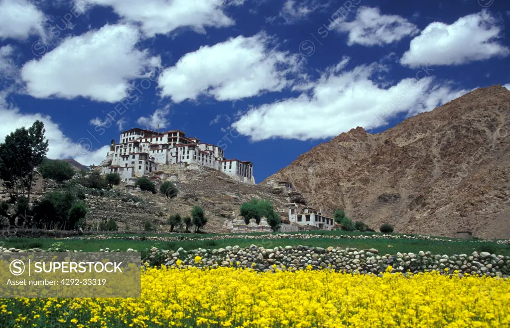 India, Jammu and Kashmir, Ladakh, Likkir Monastery