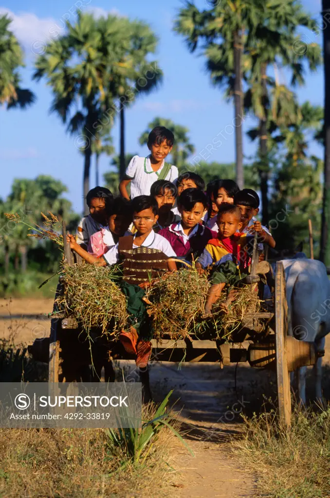 Burma, Bagan, children on cattle cart