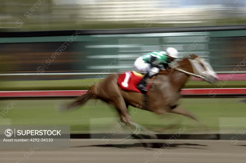 Gulfstream Park horse track racing course, Hallendale ,Miami,Florida, USA