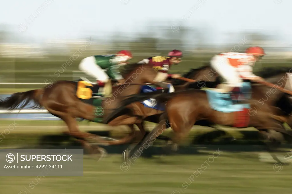 Gulfstream Park horse track racing course, Hallendale,Miami,Florida, USA