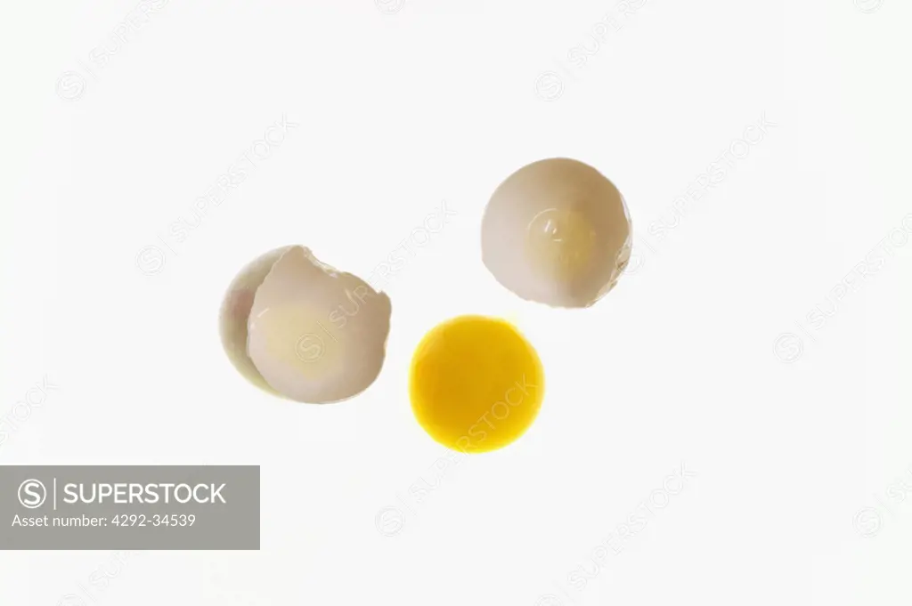 Hair in egg