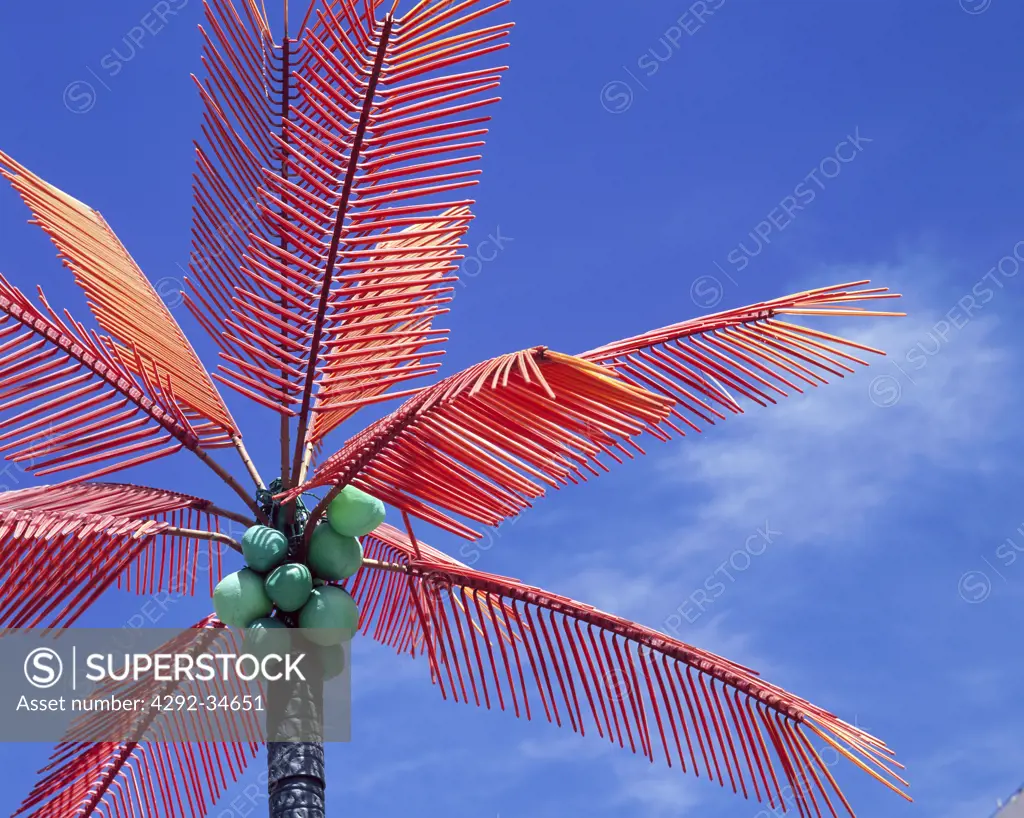 Plastic palm tree