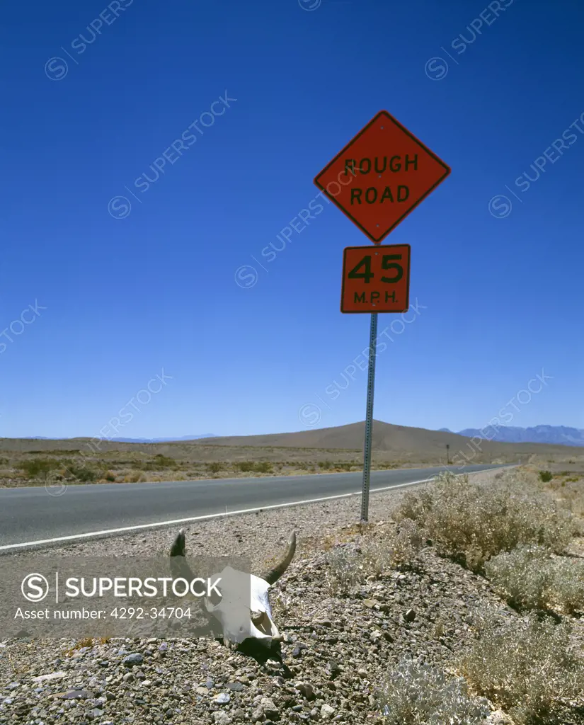 USA, California, Death Valley, cow skull on road